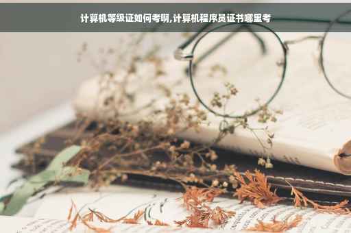 计算机等级证如何考啊,计算机程序员证书哪里考