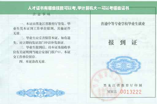 人才证书有哪些技能可以考,学计算机大一可以考哪些证书
