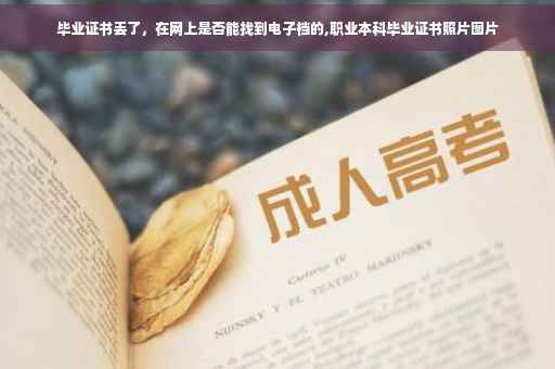 毕业证书丢了，在网上是否能找到电子档的,职业本科毕业证书照片图片