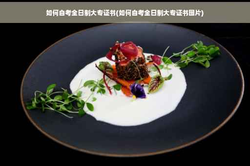 如何自考全日制大专证书(如何自考全日制大专证书图片)