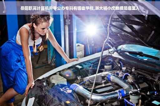 岳阳职高计算机升学公办专科有哪些学校,浙大杨小虎教授是哪里人