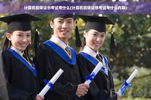计算机初级证书考试考什么(计算机初级证书考试考什么内容)