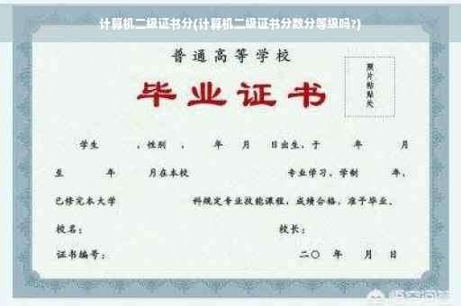 计算机二级证书分(计算机二级证书分数分等级吗?)