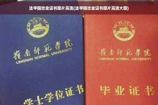 法学院毕业证书图片高清(法学院毕业证书图片高清大图)