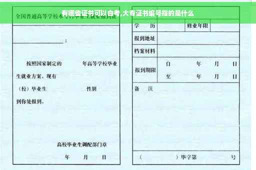 有哪些证书可以自考,大专证书编号指的是什么