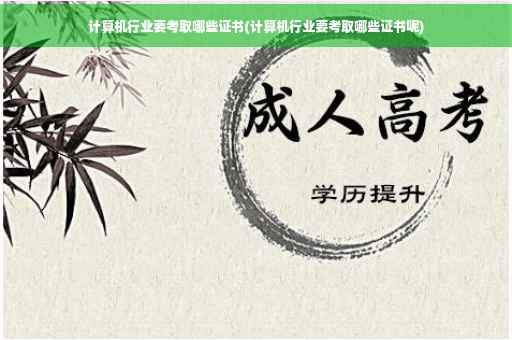 计算机行业要考取哪些证书(计算机行业要考取哪些证书呢)