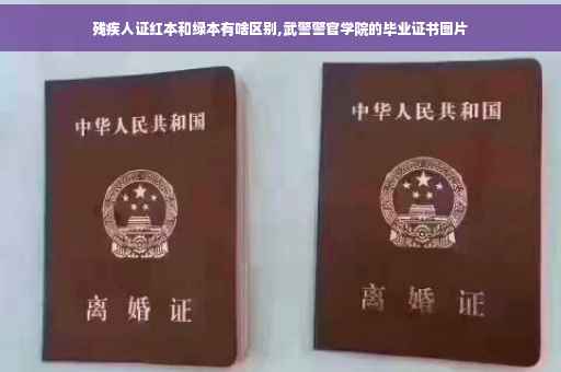 残疾人证红本和绿本有啥区别,武警警官学院的毕业证书图片