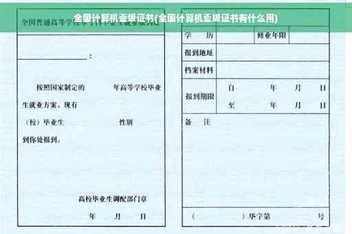 全国计算机壹级证书(全国计算机壹级证书有什么用)