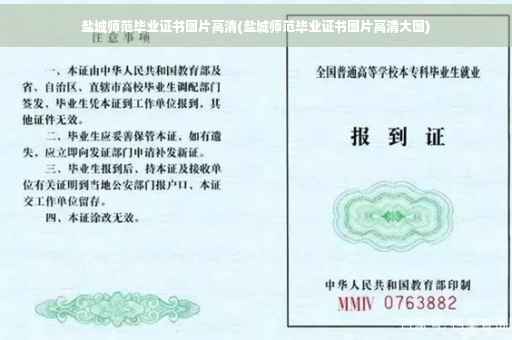 盐城师范毕业证书图片高清(盐城师范毕业证书图片高清大图)