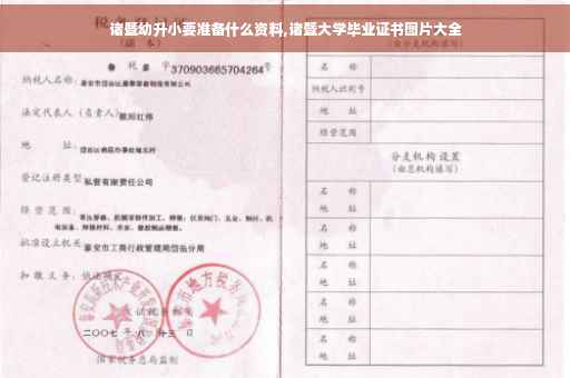 诸暨幼升小要准备什么资料,诸暨大学毕业证书图片大全