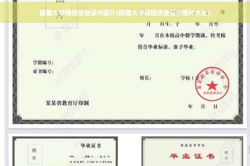 韩国大学插班毕业证书图片(韩国大学插班毕业证书图片大全)