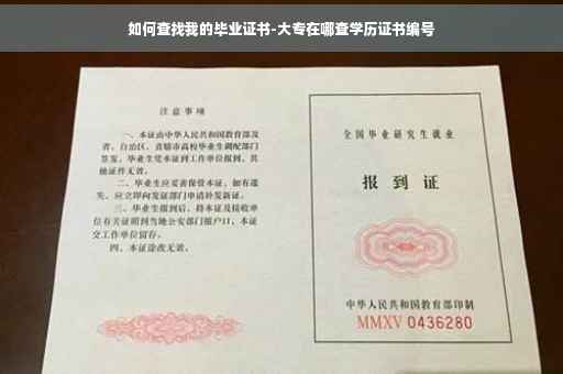 如何查找我的毕业证书-大专在哪查学历证书编号