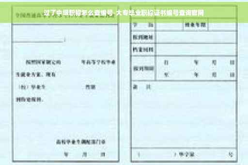 过了中级职称怎么查编号-大专毕业职称证书编号查询官网