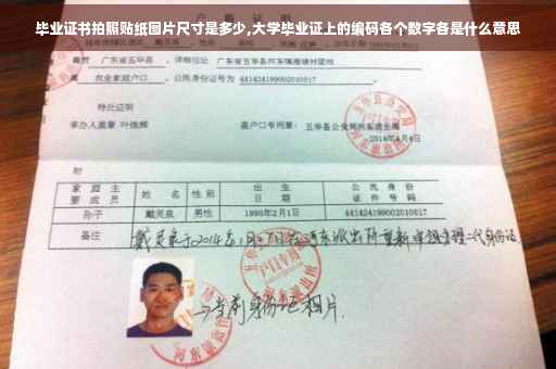毕业证书拍照贴纸图片尺寸是多少,大学毕业证上的编码各个数字各是什么意思