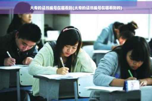 大专的证书编号在哪看到(大专的证书编号在哪看到的)