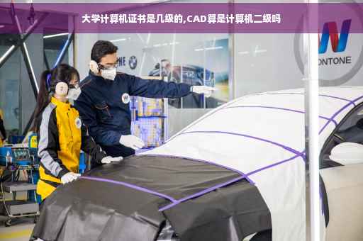 大学计算机证书是几级的,CAD算是计算机二级吗