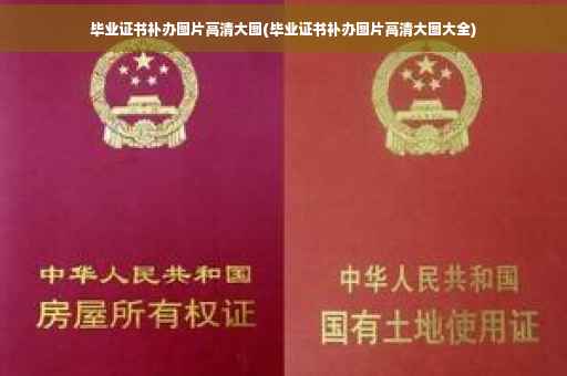 毕业证书补办图片高清大图(毕业证书补办图片高清大图大全)