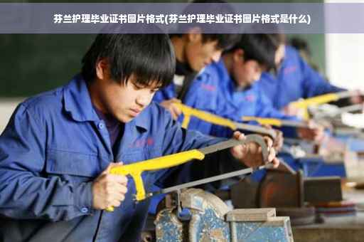 芬兰护理毕业证书图片格式(芬兰护理毕业证书图片格式是什么)