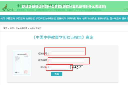 职称计算机证书叫什么名称(职称计算机证书叫什么名称啊)