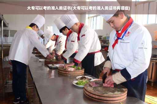 大专可以考的准入类证书(大专可以考的准入类证书有哪些)