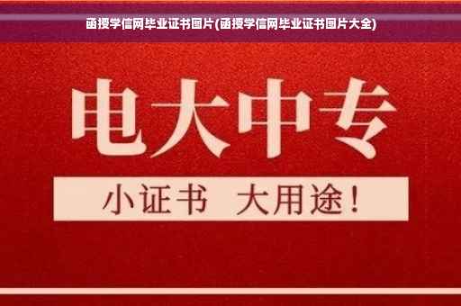 函授学信网毕业证书图片(函授学信网毕业证书图片大全)