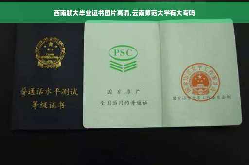 西南联大毕业证书图片高清,云南师范大学有大专吗
