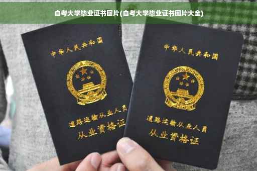 自考大学毕业证书图片(自考大学毕业证书图片大全)