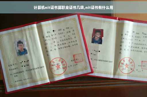 计算机nit证书算职业证书几级,nit证书有什么用