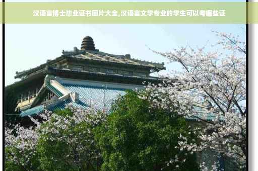 汉语言博士毕业证书图片大全,汉语言文学专业的学生可以考哪些证