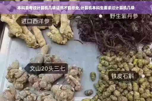 本科要考过计算机几级证书才能毕业,计算机本科生要求过计算机几级
