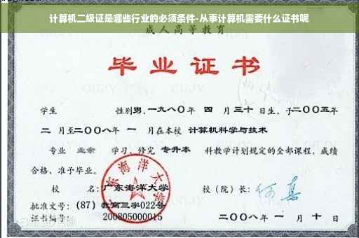 计算机二级证是哪些行业的必须条件-从事计算机需要什么证书呢