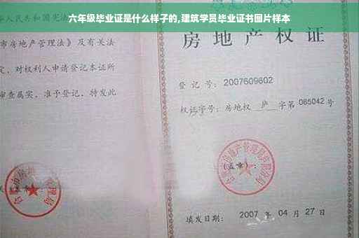 六年级毕业证是什么样子的,建筑学员毕业证书图片样本