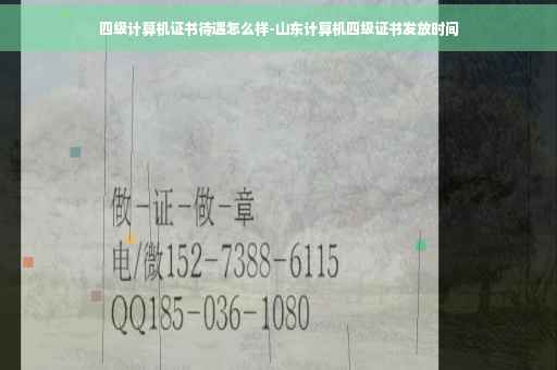 四级计算机证书待遇怎么样-山东计算机四级证书发放时间