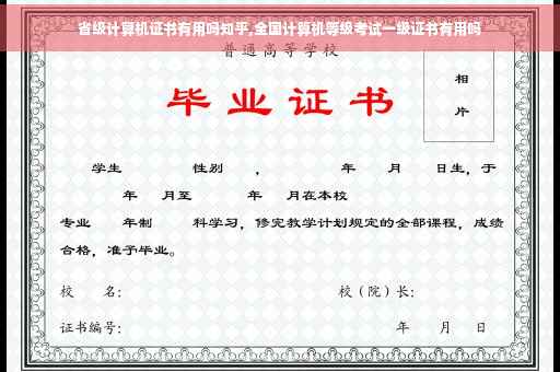 省级计算机证书有用吗知乎,全国计算机等级考试一级证书有用吗