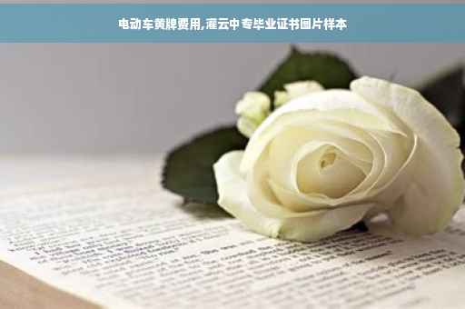 电动车黄牌费用,灌云中专毕业证书图片样本