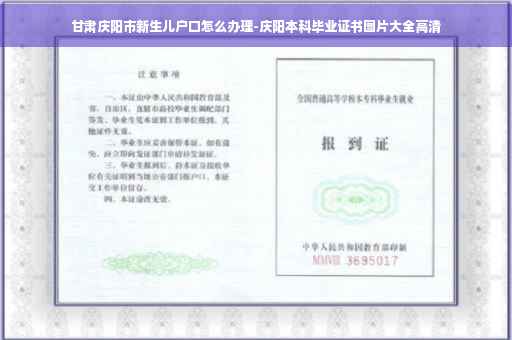 甘肃庆阳市新生儿户口怎么办理-庆阳本科毕业证书图片大全高清