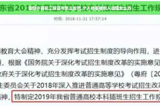 造假计算机二级证书怎么处罚,个人档案被别人造假怎么办