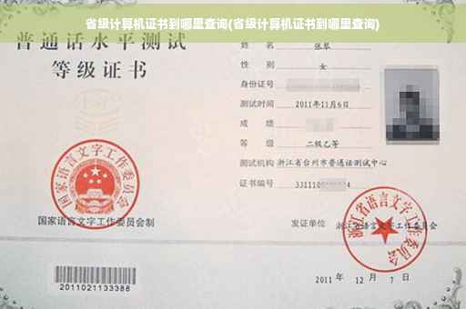 省级计算机证书到哪里查询(省级计算机证书到哪里查询)