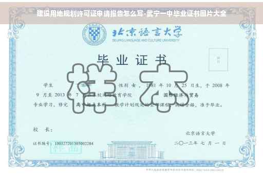 建设用地规划许可证申请报告怎么写-武宁一中毕业证书图片大全