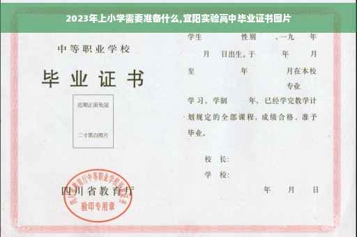 2023年上小学需要准备什么,宜阳实验高中毕业证书图片