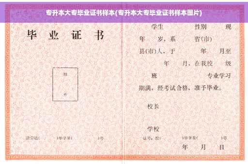 专升本大专毕业证书样本(专升本大专毕业证书样本图片)