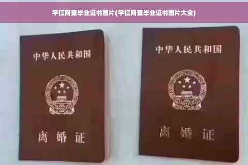 学信网查毕业证书图片(学信网查毕业证书图片大全)