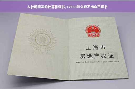 人社部颁发的计算机证书,12333怎么查不出自己证书
