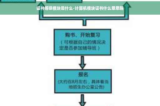 证书等级模块是什么-计算机模块证书什么意思啊
