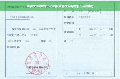 幼师大专都考什么证书(幼师大专都考什么证书呢)