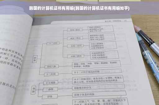 韩国的计算机证书有用嘛(韩国的计算机证书有用嘛知乎)