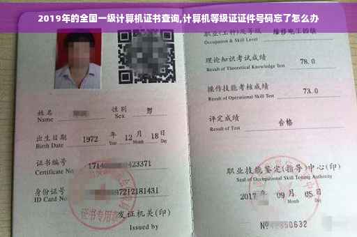 2019年的全国一级计算机证书查询,计算机等级证证件号码忘了怎么办