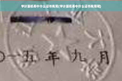 学计算机看中什么证书有用(学计算机看中什么证书有用呢)