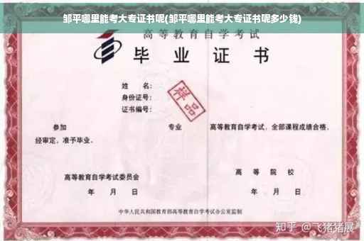 邹平哪里能考大专证书呢(邹平哪里能考大专证书呢多少钱)