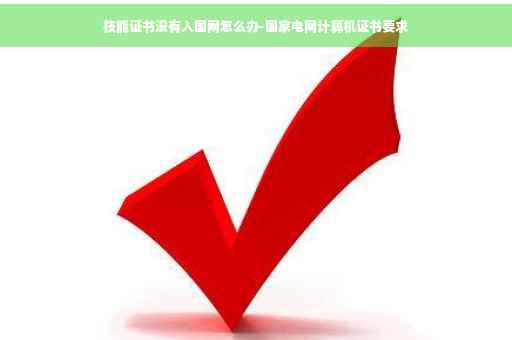 技能证书没有入国网怎么办-国家电网计算机证书要求
